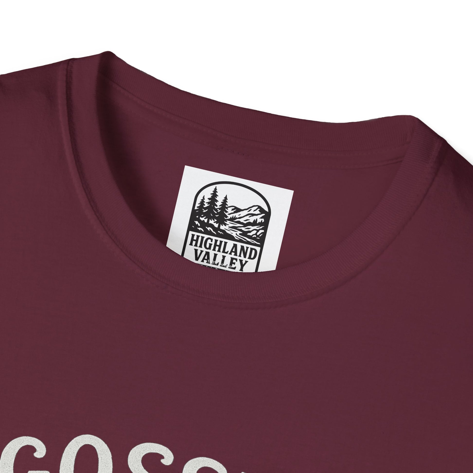 GOSSIP TRAVELS FASTER THAN STARLINK HOPETOWN UNISEX T-SHIRT